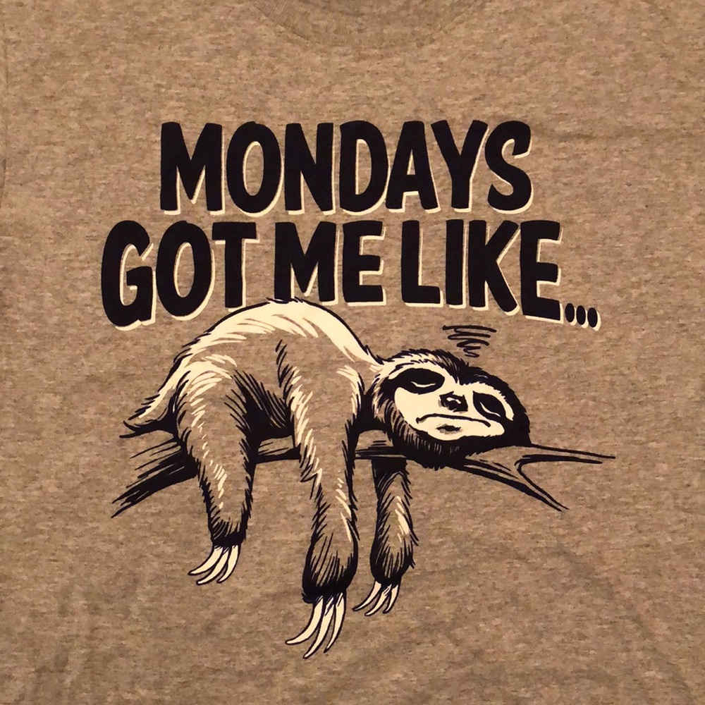 Funny Sloth T-Shirt
